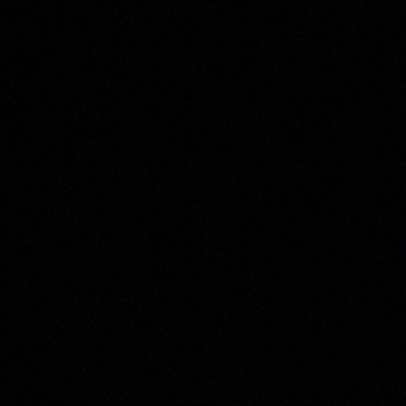 Meet your Posher, Sierra - Picture 1 of 1